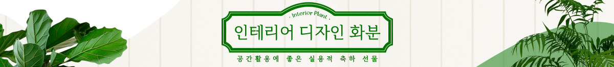 인테리어 디자인화분